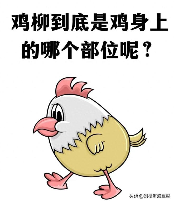彻底翻车!美国锁死巴方参会路,全球集体反杀,盟友全员倒戈