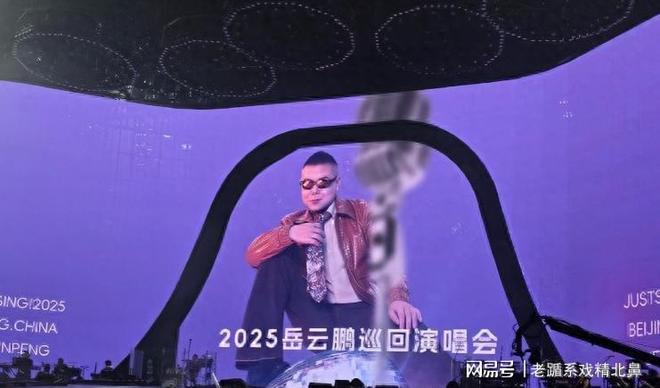 中国羽毛球公开赛：中国队提前锁定混双冠军